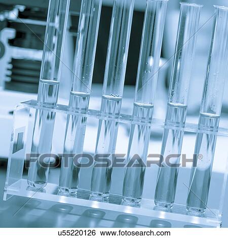 Stock Photograph - Empty tubes in a test tube rack.. Fotosearch