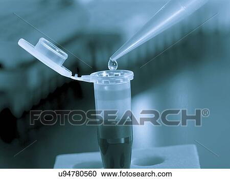 Eppendorf tube with pipette. View Large Photo Image Stock Image - Eppendorf tube with pipette.. Fotosearch