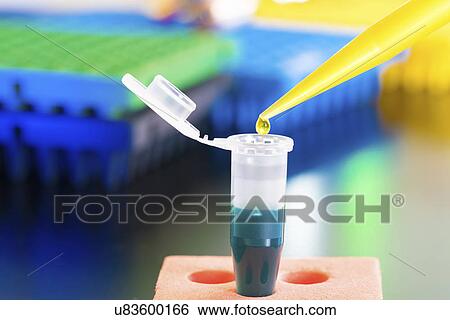 Eppendorf tube with pipette. View Large Photo Image Stock Photograph - Eppendorf tube with pipette.. Fotosearch