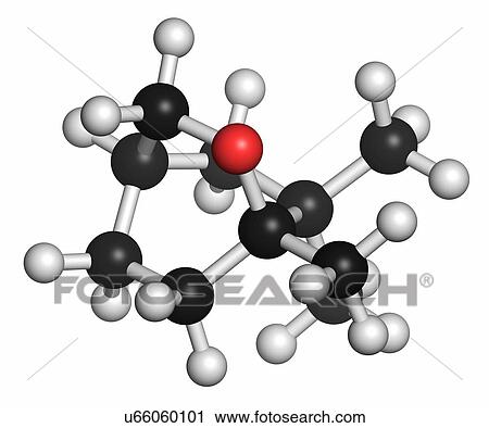 Stock Image - Eucalyptol eucalyptus oil molecule. Atoms are represented as spheres with conventional colour coding: hydrogen (white), carbon (grey), oxygen (red).. Fotosearch