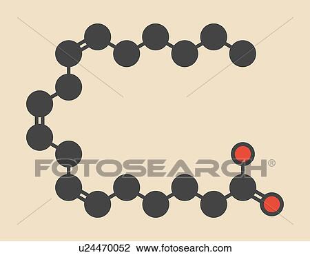 Gamma-linolenic acid (GLA, gamolenic acid) molecule. Omega-6 fatty acid present in many vegetable oils, including evening primrose, chia, hemp and borage seed oils. Stylized skeletal formula (chemical structure): Atoms are shown as color-coded... View Large Photo Image Stock Image - Gamma-linolenic acid (GLA, gamolenic acid) molecule. Omega-6 fatty acid present in many vegetable oils, including evening primrose, chia, hemp and borage seed oils. Stylized skeletal formula (chemical structure): Atoms are shown as color-coded.... Fotosearch