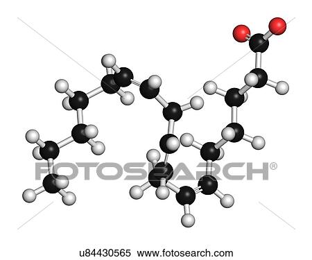Gamma-linolenic acid (GLA, gamolenic acid) molecule. Omega-6 fatty acid present in many vegetable oils, including evening primrose, chia, hemp and borage seed oils. 3D rendering. Atoms are represented as spheres with conventional colour coding:... View Large Photo Image Stock Photography - Gamma-linolenic acid (GLA, gamolenic acid) molecule. Omega-6 fatty acid present in many vegetable oils, including evening primrose, chia, hemp and borage seed oils. 3D rendering. Atoms are represented as spheres with conventional colour coding:.... Fotosearch