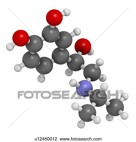 Isoprenaline (isoproterenol) drug molecule. Used in treatment of bradycardia, heart block and asthma. 3D rendering. Atoms are represented as spheres with conventional colour coding: hydrogen (white), carbon (grey), nitrogen (blue), oxygen (red). View Large Photo Image Stock Image - Isoprenaline (isoproterenol) drug molecule. Used in treatment of bradycardia, heart block and asthma. 3D rendering. Atoms are represented as spheres with conventional colour coding: hydrogen (white), carbon (grey), nitrogen (blue), oxygen (red).. Fotosearch