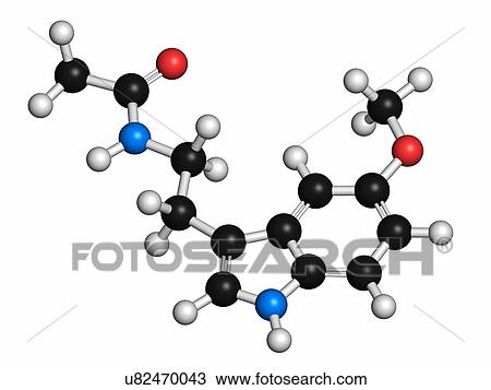 Melatonin hormone molecule. In humans, it plays a role in circadian rhythm synchronization. Atoms are represented as spheres with conventional colour coding: hydrogen (white), carbon (grey), oxygen (red), nitrogen (blue). View Large Photo Image Stock Image - Melatonin hormone molecule. In humans, it plays a role in circadian rhythm synchronization. Atoms are represented as spheres with conventional colour coding: hydrogen (white), carbon (grey), oxygen (red), nitrogen (blue).. Fotosearch