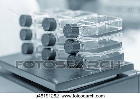 Microbiological flasks, close up. View Large Photo Image Stock Image - Microbiological flasks, close up.. Fotosearch