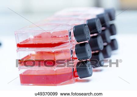 Microbiological flasks, close up. View Large Photo Image Stock Photo - Microbiological flasks, close up.. Fotosearch
