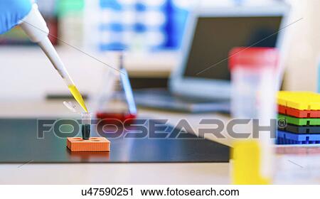 Micropipette and eppendorf tube. View Large Photo Image Stock Image - Micropipette and eppendorf tube.. Fotosearch