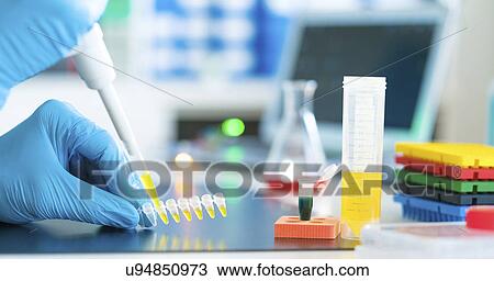 Stock Image - Micropipette and eppendorf tubes.. Fotosearch