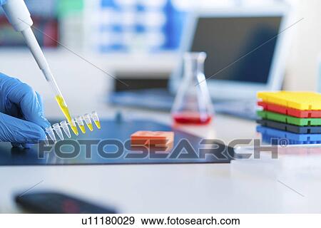 Stock Photo - Micropipette and eppendorf tubes.. Fotosearch