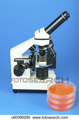 Microscope and petri dishes against blue background. View Large Photo Image Stock Photography - Microscope and petri dishes against blue background.. Fotosearch