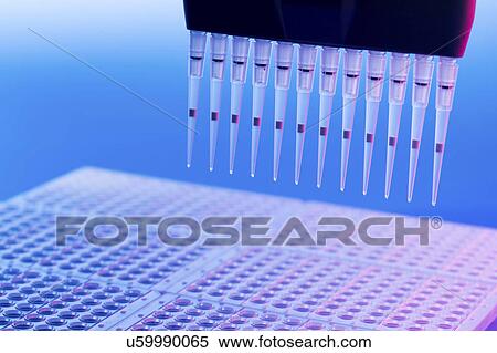 Stock Photography - Multi pipette and multi-well tray.. Fotosearch