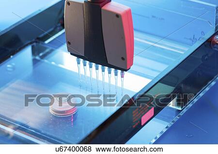 Stock Photo - Multi pipette.. Fotosearch