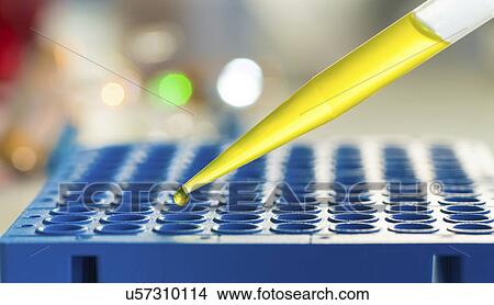 Multi well plate with pipette. View Large Photo Image Picture - Multi well plate with pipette.. Fotosearch