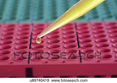 Multi well plate with pipette. View Large Photo Image Stock Photo - Multi well plate with pipette.. Fotosearch