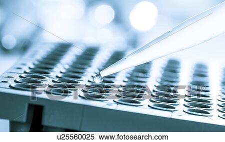 Multi well plate with pipette. View Large Photo Image Stock Photography - Multi well plate with pipette.. Fotosearch