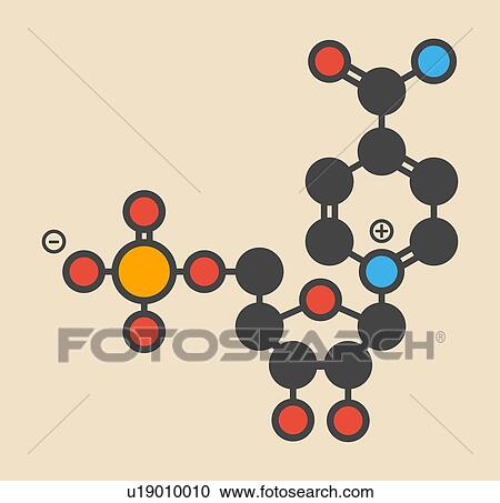 Nicotinamide mononucleotide molecule. Precursor of NAD+. Stylized skeletal formula (chemical structure): Atoms are shown as color-coded circles: hydrogen (hidden), carbon (grey), oxygen (red), nitrogen (blue), phosphorus (orange). View Large Photo Image Stock Image - Nicotinamide mononucleotide molecule. Precursor of NAD+. Stylized skeletal formula (chemical structure): Atoms are shown as color-coded circles: hydrogen (hidden), carbon (grey), oxygen (red), nitrogen (blue), phosphorus (orange).. Fotosearch