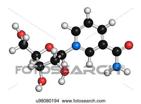 Nicotinamide riboside (NR) molecule. Precursor of nicotinamide adenine dinucleotide (NAD). 3D rendering. Atoms are represented as spheres with conventional colour coding: hydrogen (white), carbon (black), oxygen (red), nitrogen (blue). View Large Photo Image Picture - Nicotinamide riboside (NR) molecule. Precursor of nicotinamide adenine dinucleotide (NAD). 3D rendering. Atoms are represented as spheres with conventional colour coding: hydrogen (white), carbon (black), oxygen (red), nitrogen (blue).. Fotosearch
