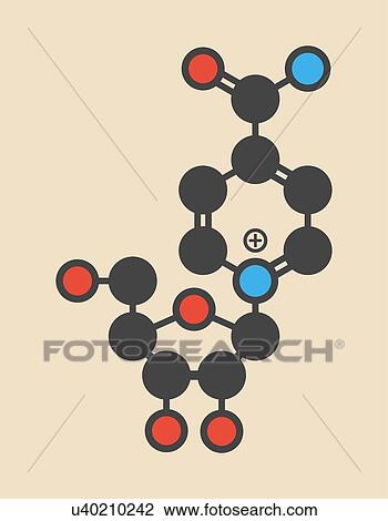 Nicotinamide riboside (NR) molecule. Precursor of nicotinamide adenine dinucleotide (NAD). Stylized skeletal formula (chemical structure): Atoms are shown as color-coded circles: hydrogen (hidden), carbon (grey), oxygen (red), nitrogen (blue). View Large Photo Image Stock Image - Nicotinamide riboside (NR) molecule. Precursor of nicotinamide adenine dinucleotide (NAD). Stylized skeletal formula (chemical structure): Atoms are shown as color-coded circles: hydrogen (hidden), carbon (grey), oxygen (red), nitrogen (blue).. Fotosearch
