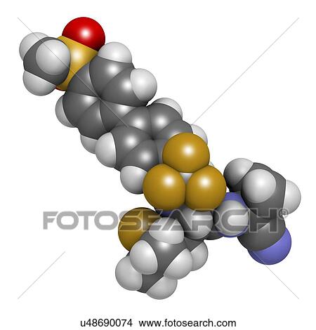 Odanacatib osteoporosis and bone metastasis drug molecule. Inhibitor of cathepsin K. 3D rendering. Atoms are represented as spheres with conventional colour coding: hydrogen (white), carbon (grey), nitrogen (blue), oxygen (red), sulfur (yellow),... View Large Photo Image Picture - Odanacatib osteoporosis and bone metastasis drug molecule. Inhibitor of cathepsin K. 3D rendering. Atoms are represented as spheres with conventional colour coding: hydrogen (white), carbon (grey), nitrogen (blue), oxygen (red), sulfur (yellow),.... Fotosearch