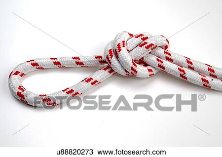 Overhead loop knot on white background simple way of forming a loop in a rope View Large Photo Image Stock Image - Overhead loop knot on white background simple way of forming a loop in a rope. Fotosearch