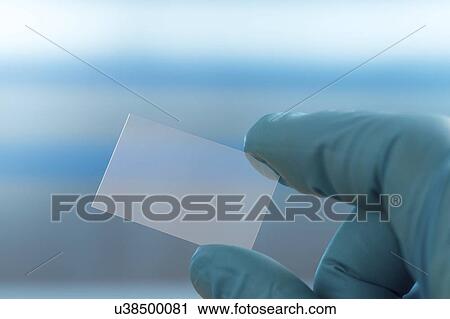 Person holding microscope slide. View Large Photo Image Stock Image - Person holding microscope slide.. Fotosearch