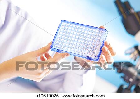 Person holding multi well plate, studio shot. View Large Photo Image Stock Photograph - Person holding multi well plate, studio shot.. Fotosearch