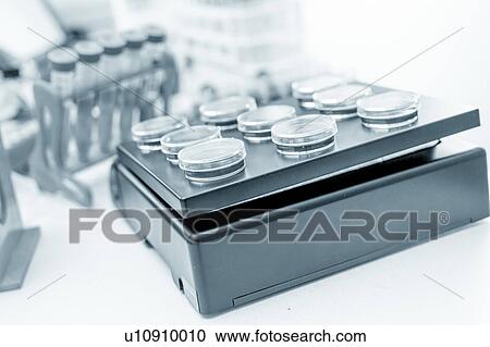 Petri dishes in laboratory. View Large Photo Image Stock Image - Petri dishes in laboratory.. Fotosearch