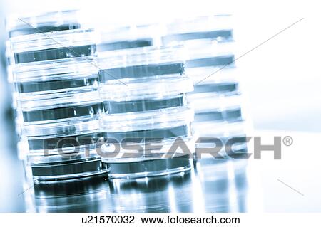 Stock Image - Petri dishes stacked up.. Fotosearch