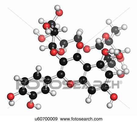 Rutin (rutoside, sophorin) molecule. Herbal glycoside composed of quercetin and rutinose. Atoms are represented as spheres with conventional colour coding: hydrogen (white), carbon (grey), oxygen (red). View Large Photo Image Stock Photo - Rutin (rutoside, sophorin) molecule. Herbal glycoside composed of quercetin and rutinose. Atoms are represented as spheres with conventional colour coding: hydrogen (white), carbon (grey), oxygen (red).. Fotosearch