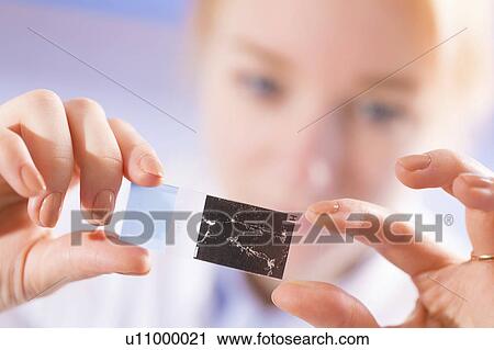 Scientist examining microscope slide View Large Photo Image Stock Image - Scientist examining microscope slide. Fotosearch