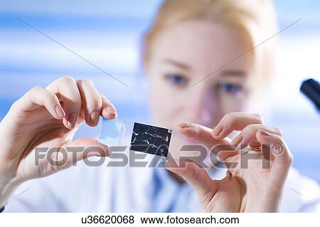 Scientist examining microscope slide View Large Photo Image Stock Photo - Scientist examining microscope slide. Fotosearch