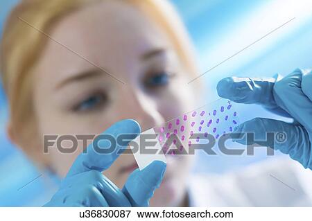 Stock Photo - Scientist examining microscope slide. Fotosearch