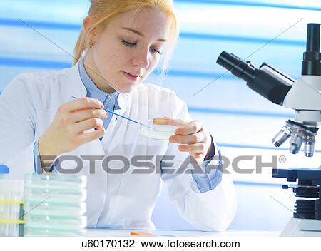 Stock Image - Scientist holding petri dish. Fotosearch