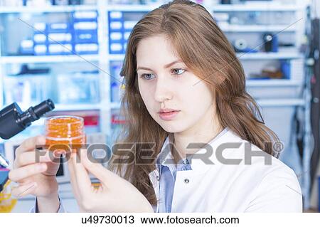 Stock Image - Scientist testing foods. Fotosearch