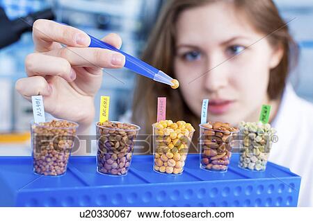 Stock Photo - Scientist testing foods. Fotosearch