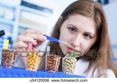 Scientist testing foods View Large Photo Image Stock Photograph - Scientist testing foods. Fotosearch