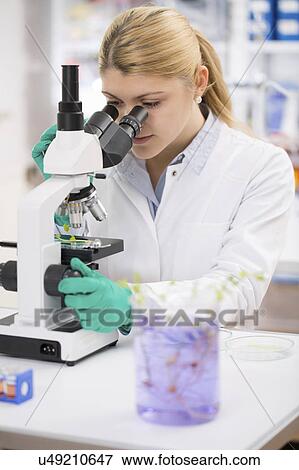 Scientist using microscope View Large Photo Image Stock Photo - Scientist using microscope. Fotosearch