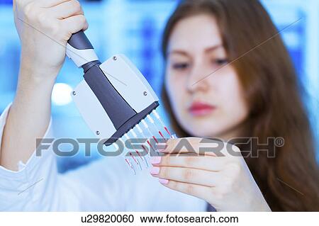 Scientist using multi pipette View Large Photo Image Stock Image - Scientist using multi pipette. Fotosearch