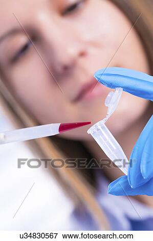 Scientist using pipette View Large Photo Image Stock Photo - Scientist using pipette. Fotosearch