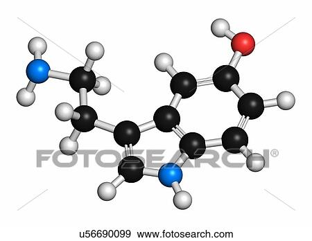 Serotonin neurotransmitter molecule. Atoms are represented as spheres with conventional colour coding: hydrogen (white), carbon (grey), oxygen (red), nitrogen (blue). View Large Photo Image Stock Photo - Serotonin neurotransmitter molecule. Atoms are represented as spheres with conventional colour coding: hydrogen (white), carbon (grey), oxygen (red), nitrogen (blue).. Fotosearch