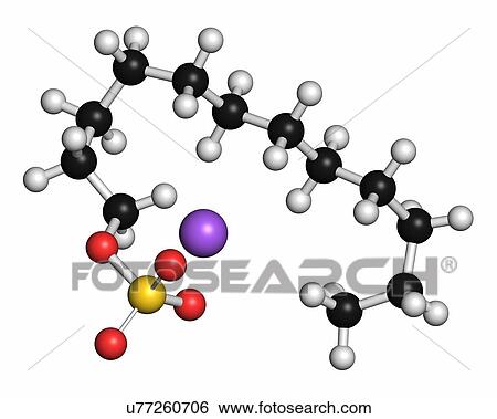 Sodium dodecyl sulfate (SDS, sodium lauryl sulfate) surfactant molecule. Commonly used in cleaning products. Atoms are represented as spheres with conventional colour coding: hydrogen (white), carbon (grey), oxygen (red), sulfur (yellow), sodium (purple). View Large Photo Image Stock Photograph - Sodium dodecyl sulfate (SDS, sodium lauryl sulfate) surfactant molecule. Commonly used in cleaning products. Atoms are represented as spheres with conventional colour coding: hydrogen (white), carbon (grey), oxygen (red), sulfur (yellow), sodium (purple).. Fotosearch