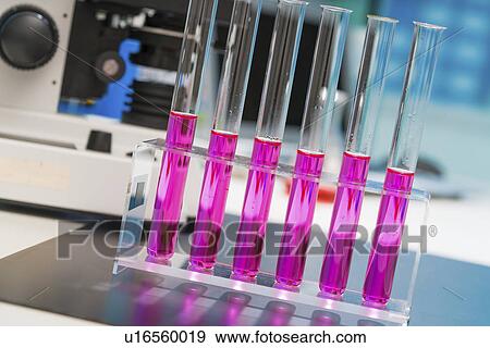 Test tubes in a test tube rack. View Large Photo Image Stock Photo - Test tubes in a test tube rack.. Fotosearch