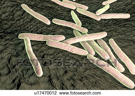 Stock Image - Tuberculosis bacteria. Computer artwork of Mycobacterium tuberculosis bacteria, the Gram-positive rod-shaped bacteria which cause the disease tuberculosis.. Fotosearch