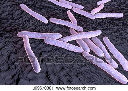 Stock Image - Tuberculosis bacteria. Computer artwork of Mycobacterium tuberculosis bacteria, the Gram-positive rod-shaped bacteria which cause the disease tuberculosis.. Fotosearch