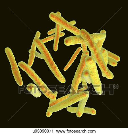 Stock Image - Tuberculosis bacteria. Computer artwork of Mycobacterium tuberculosis bacteria, the Gram-positive rod-shaped bacteria which cause the disease tuberculosis.. Fotosearch