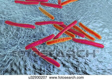 Stock Photo - Tuberculosis bacteria. Computer artwork of Mycobacterium tuberculosis bacteria, the Gram-positive rod-shaped bacteria which cause the disease tuberculosis.. Fotosearch