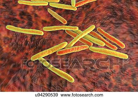 Stock Photo - Tuberculosis bacteria. Computer artwork of Mycobacterium tuberculosis bacteria, the Gram-positive rod-shaped bacteria which cause the disease tuberculosis.. Fotosearch