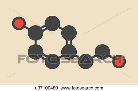 Stock Image - Tyrosol olive oil antioxidant molecule. Stylized skeletal formula (chemical structure): Atoms are shown as color-coded circles: hydrogen (hidden), carbon (grey), oxygen (red).. Fotosearch