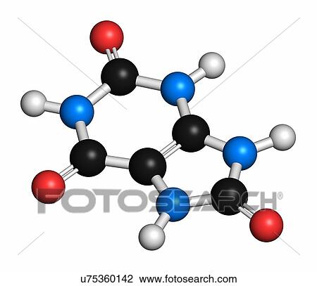 Uric acid molecule. High blood levels lead to gout disease. Atoms are represented as spheres with conventional colour coding: hydrogen (white), carbon (grey), oxygen (red), nitrogen (blue). View Large Photo Image Stock Image - Uric acid molecule. High blood levels lead to gout disease. Atoms are represented as spheres with conventional colour coding: hydrogen (white), carbon (grey), oxygen (red), nitrogen (blue).. Fotosearch