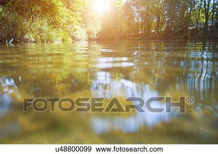 Stock Photo - Water surface in forest.. Fotosearch